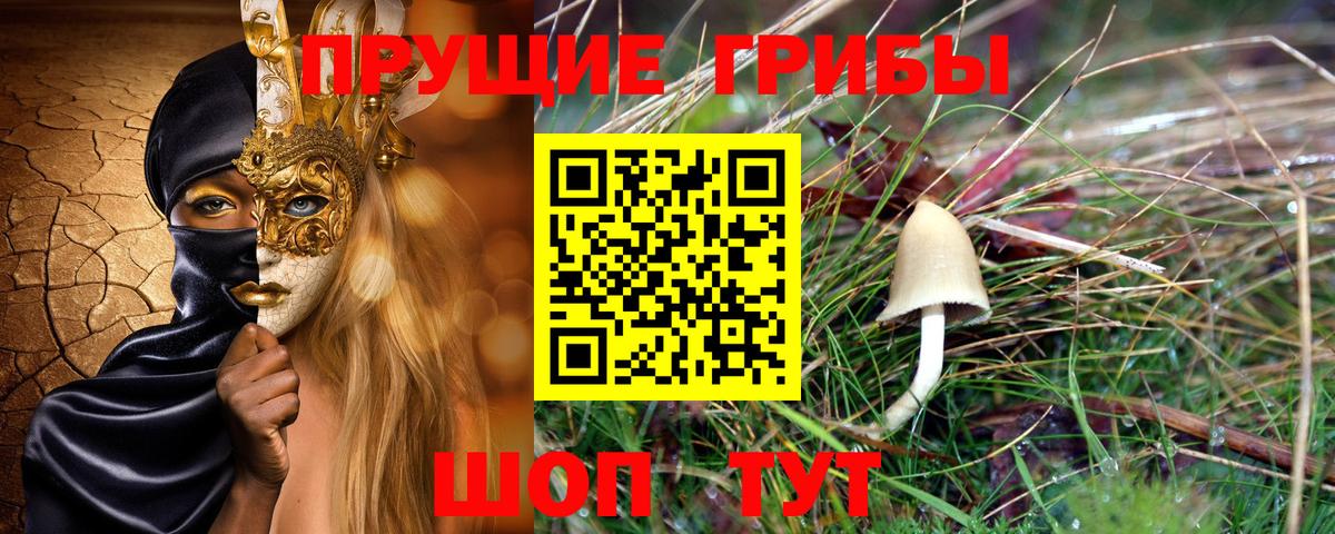 Галлюциногенные грибы мицелий Хасавюрт